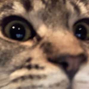 Meet your Posher, Jaida